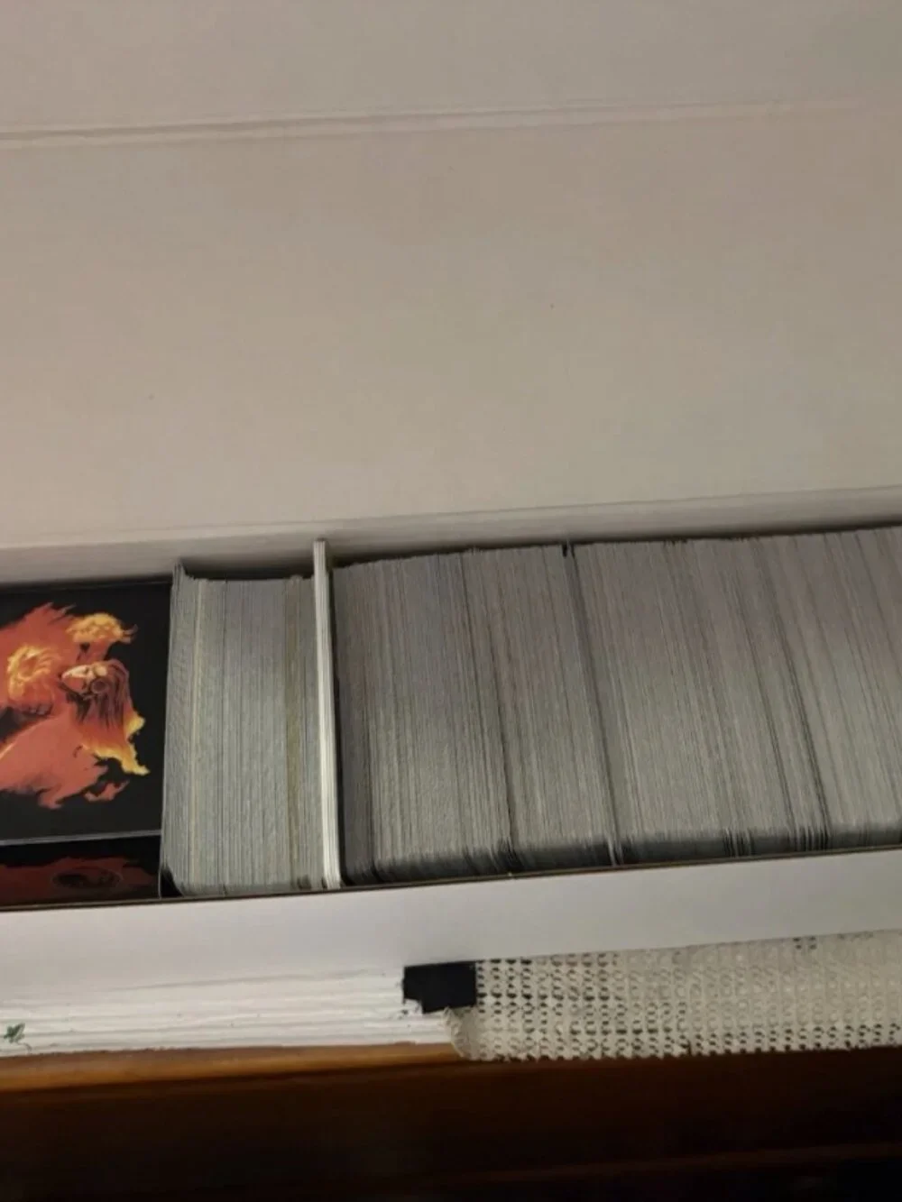 1000 MTG Blind Lot with Foils and Vintage - perfect for collectors and resellers